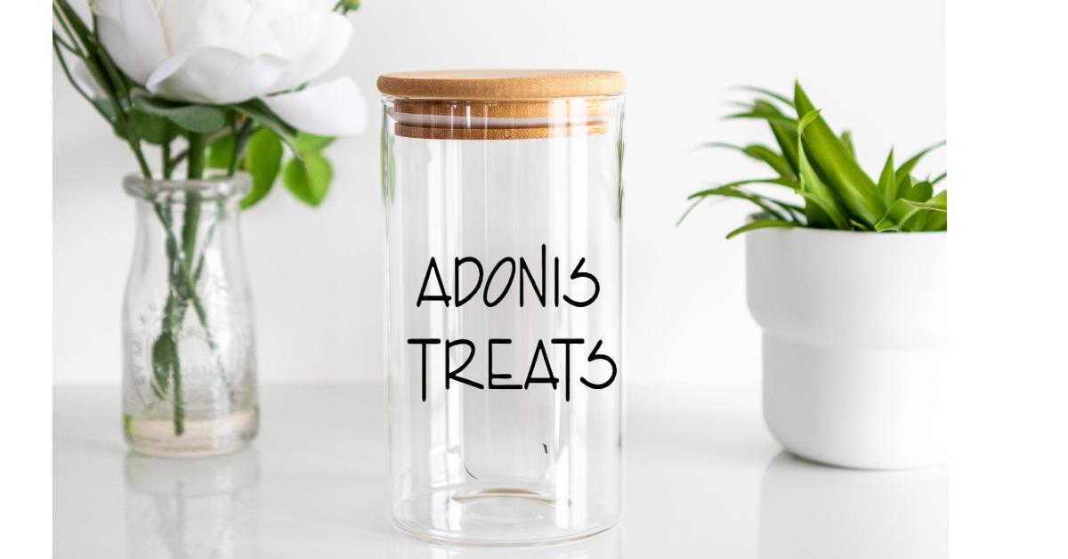 PERSONALIZED Glass Dog Treat Jar – Pet Storage Container – Perfect Pet Gifts