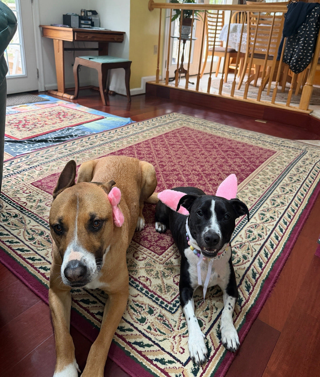 Happy Easter